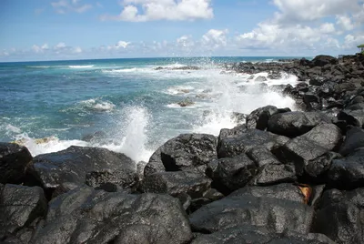 2007_05_30_HAWAII (47) (Large).JPG